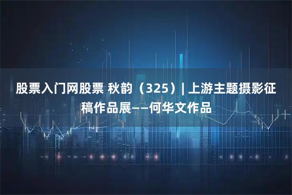 股票入门网股票 秋韵（325）| 上游主题摄影征稿作品展——何华文作品