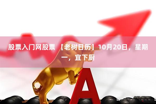 股票入门网股票 【老树日历】10月20日，星期一，宜下厨